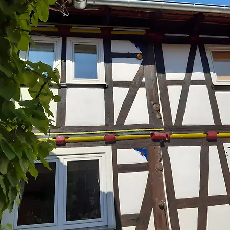 Ferienwohnung, 30 Qm Friedewald  Exterior photo