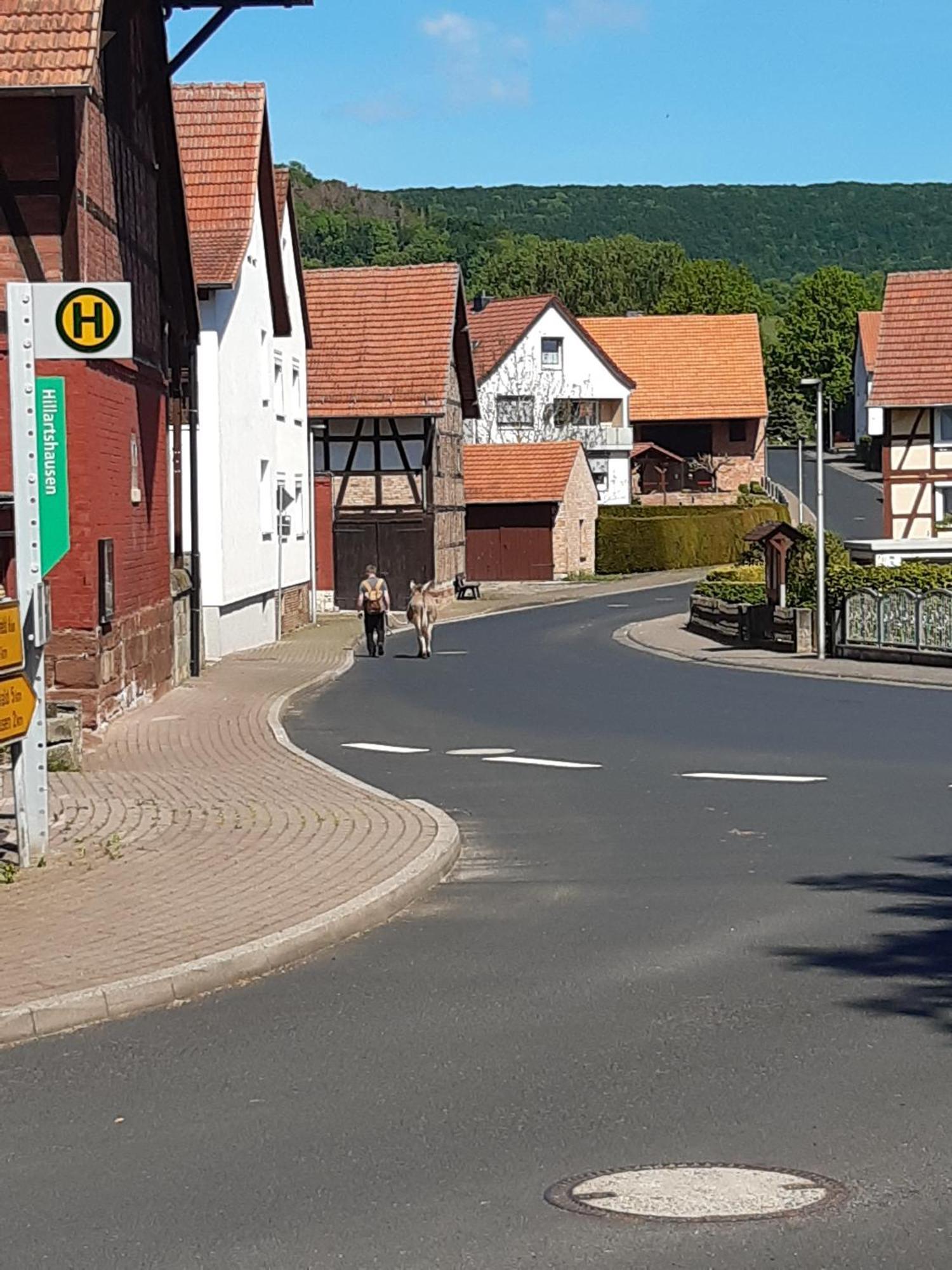 Ferienwohnung, 30 Qm Apartment Friedewald (Hessen)